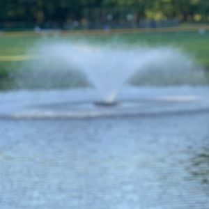 Meet your Posher, Nitya